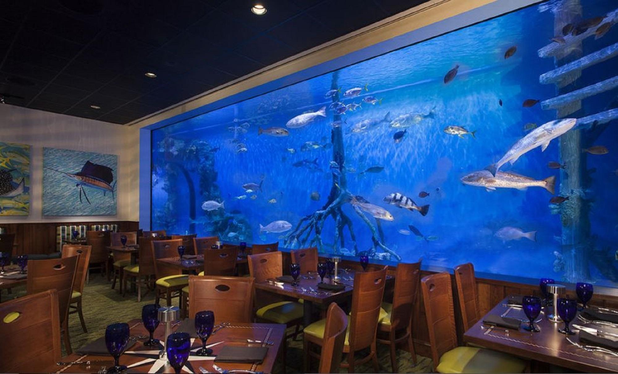 Rumfish Beach At Tradewinds St. Pete Beach Luaran gambar