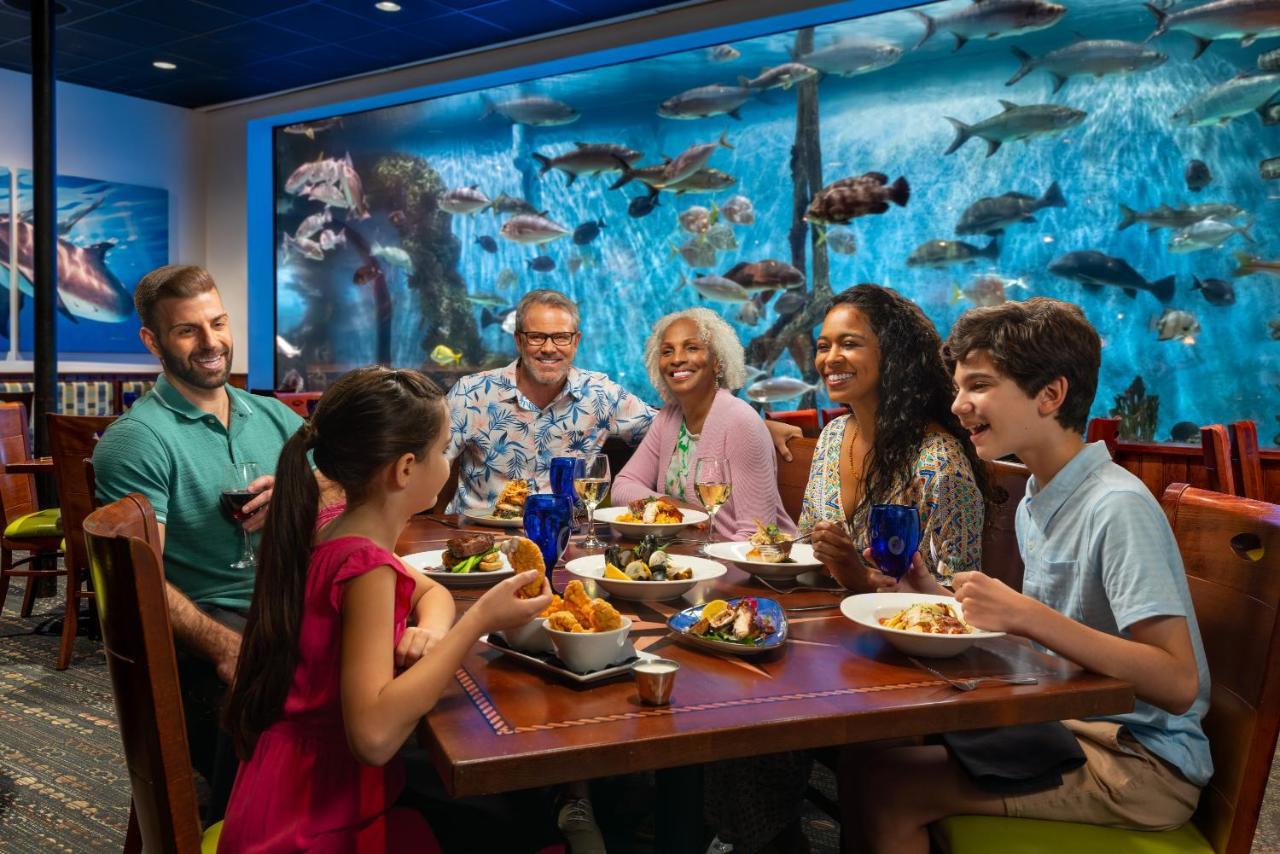 Rumfish Beach At Tradewinds St. Pete Beach Luaran gambar