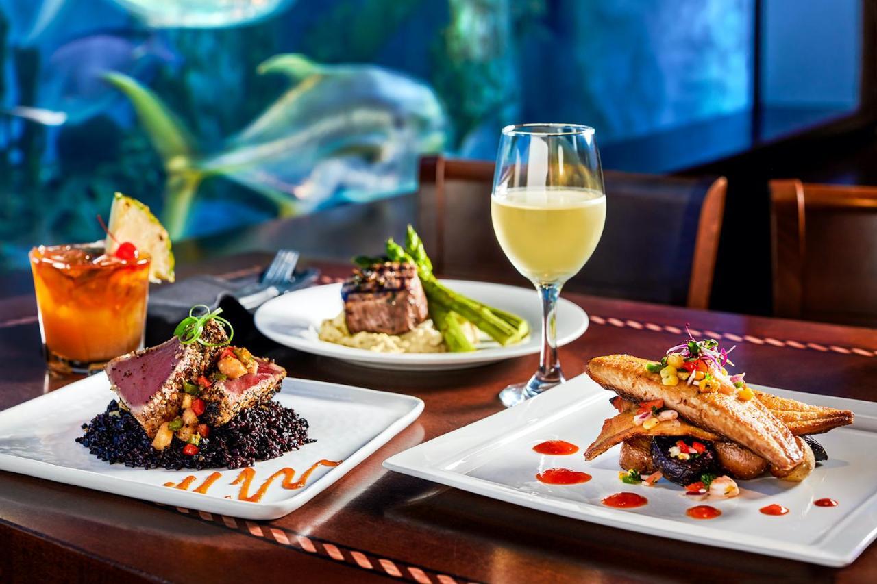 Rumfish Beach At Tradewinds St. Pete Beach Luaran gambar